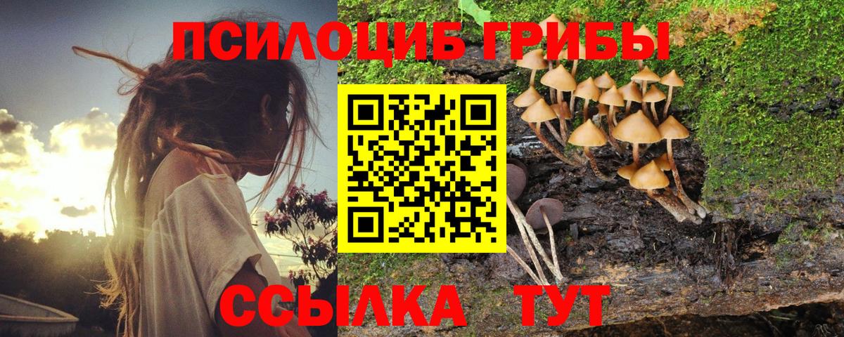 Тулун  Галлюциногенные грибы Magic Shrooms  Вход с VPN  Псилоцибиновые грибы мицелий 